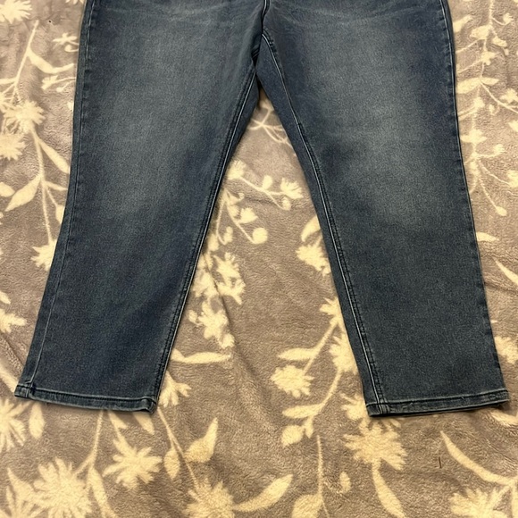 NWT DG2 Diane Gilman Skinny Jeans- Blue distressed Zip Up Stretch SZ 22WP - Picture 5 of 10